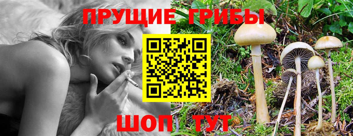 Галлюциногенные грибы прущие грибы  Вход с VPN  Новосибирск 